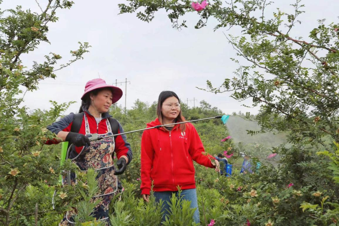 王永华（右一）向龙凤村村民传授喷洒农药技术要领。受访者供图