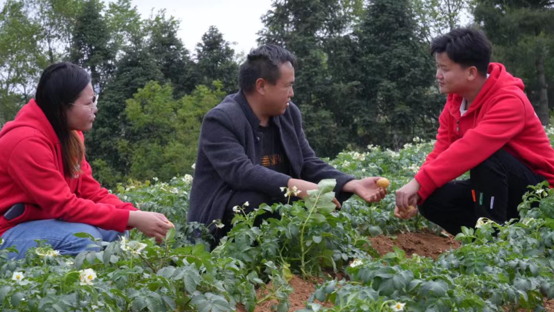 扎根龙凤科技小院的中国农业大学学生在田间向路世江（中）传授种植技术。受访者供图